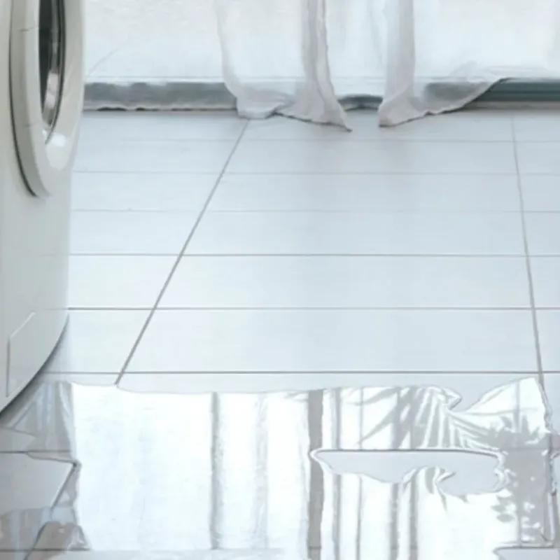 Appliance Leak Cleanup in Northumberland County, VA