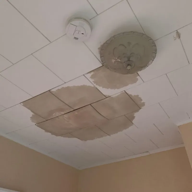 Ceiling Water Damage Repair in Northumberland County, VA