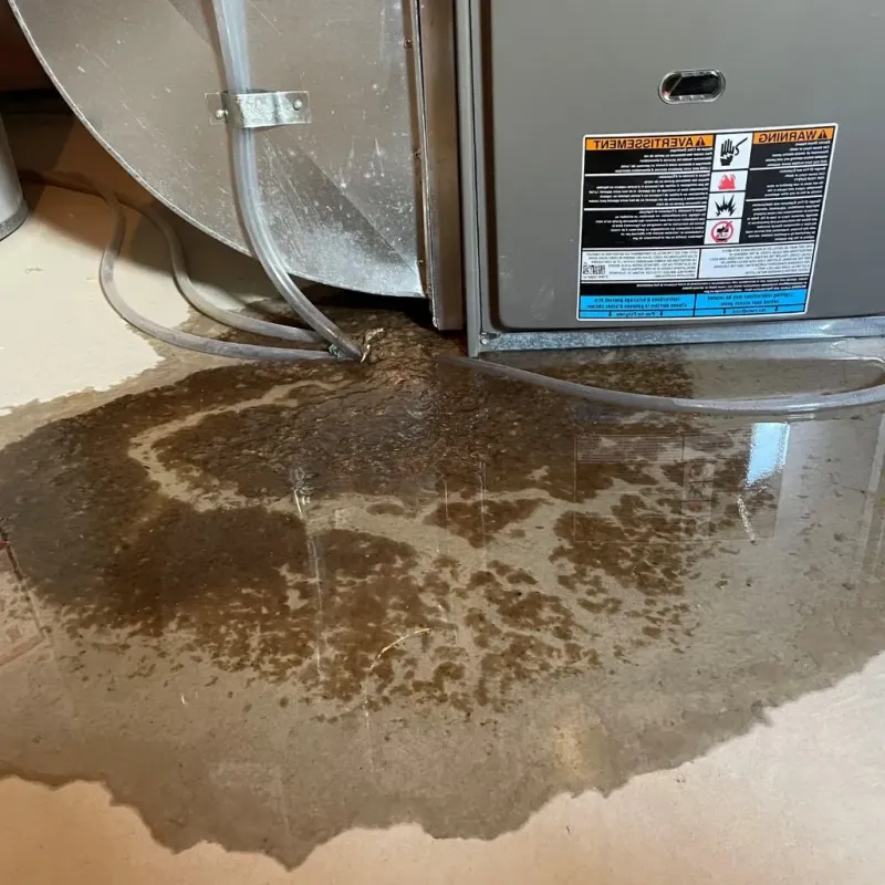 Pipe Burst and Leak Restoration in Northumberland County, VA