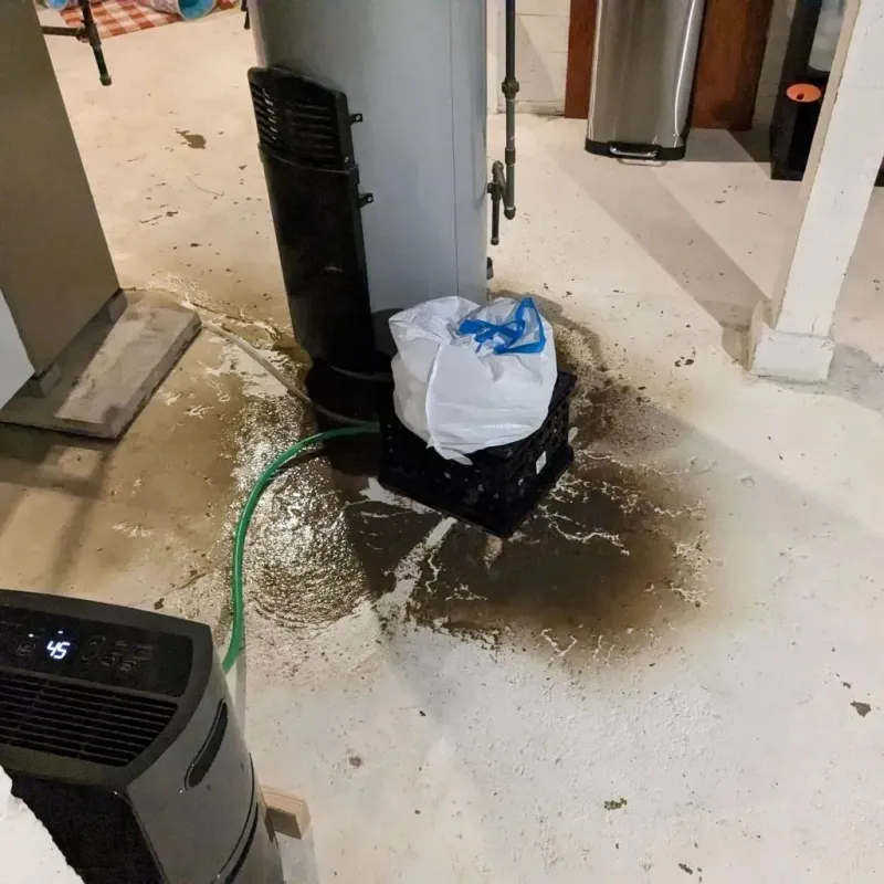 Sewage Backup Cleanup Service in Northumberland County, VA